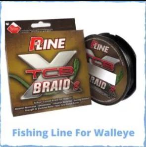 Best Fishing Line For Walleye