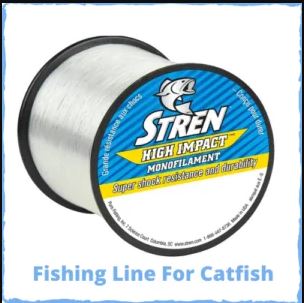 Best Fishing Lines For Catfish