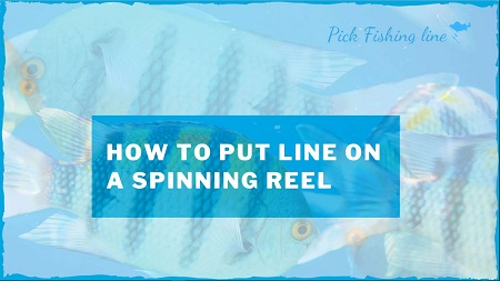 How To Put Line On A Spinning Reel
