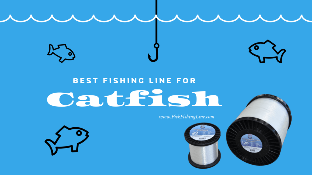 Best High Visible Fishing Lines for Catfish Pick Fishing Line