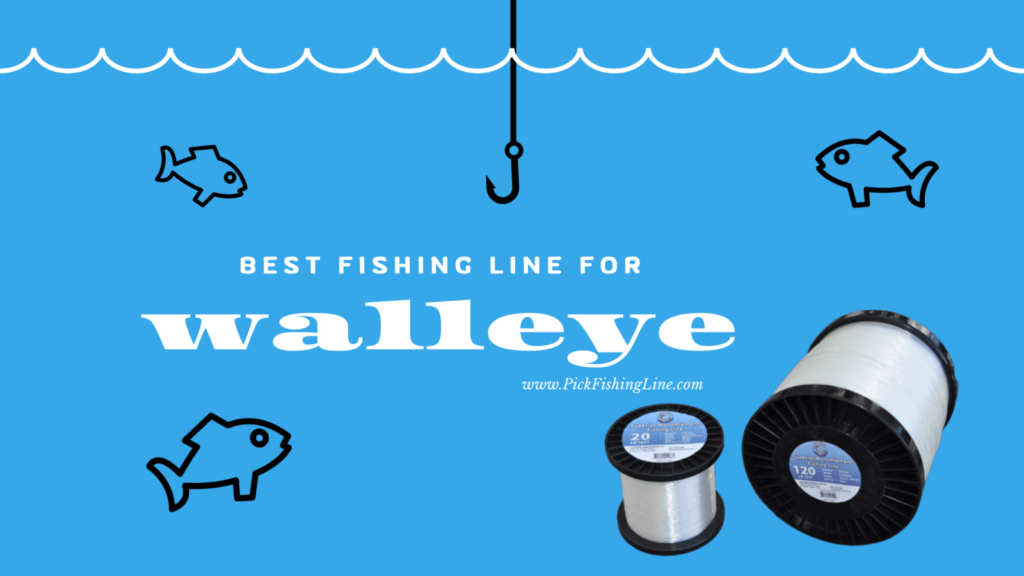 Best Fishing Line for Walleye [Braid, Mono & Fluorocarbon] Pick