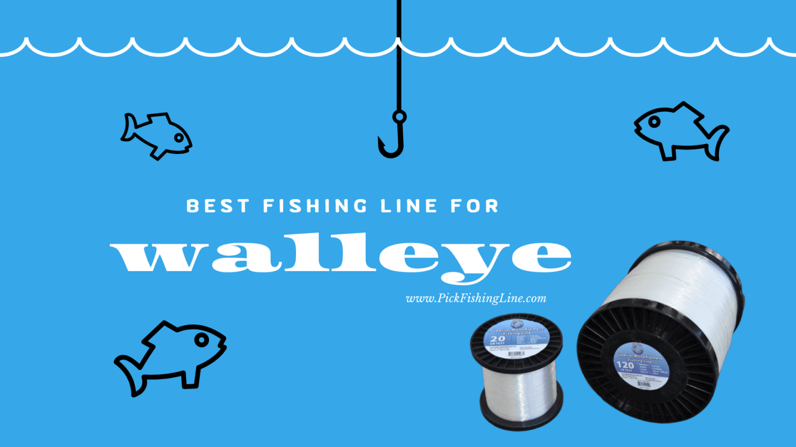 Best Fishing Line for Walleye