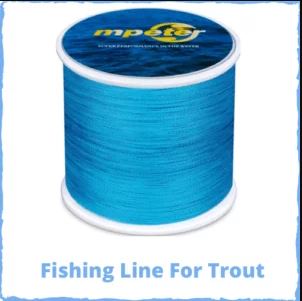 Best Fishing Line For Trout