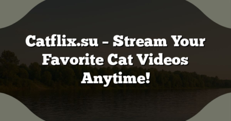 Catflix.su – Stream Your Favorite Cat Videos Anytime!